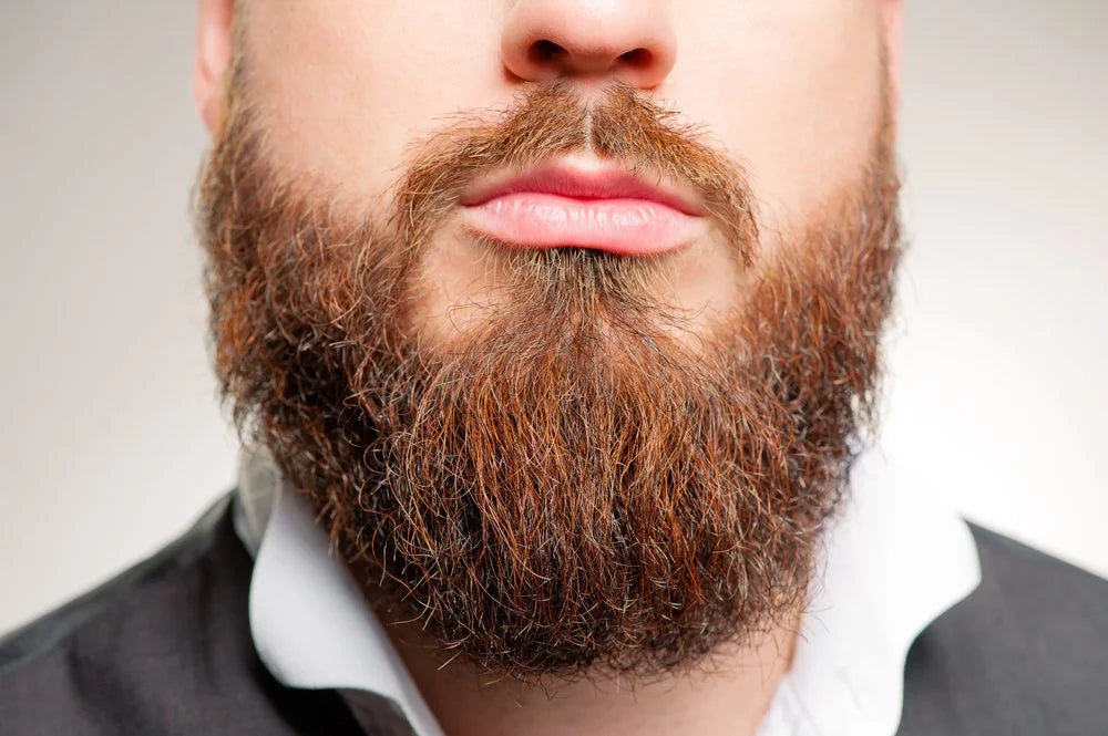 Comment se fait-il qu'un brun ait la barbe rousse ? – Barb'Art