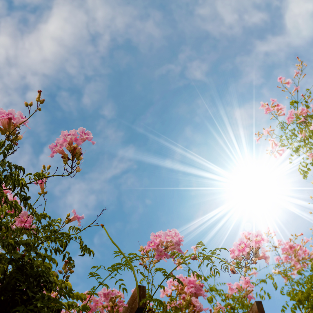 Les bienfaits du soleil