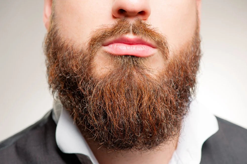 Comment se fait-il qu’un brun ait la barbe rousse ?