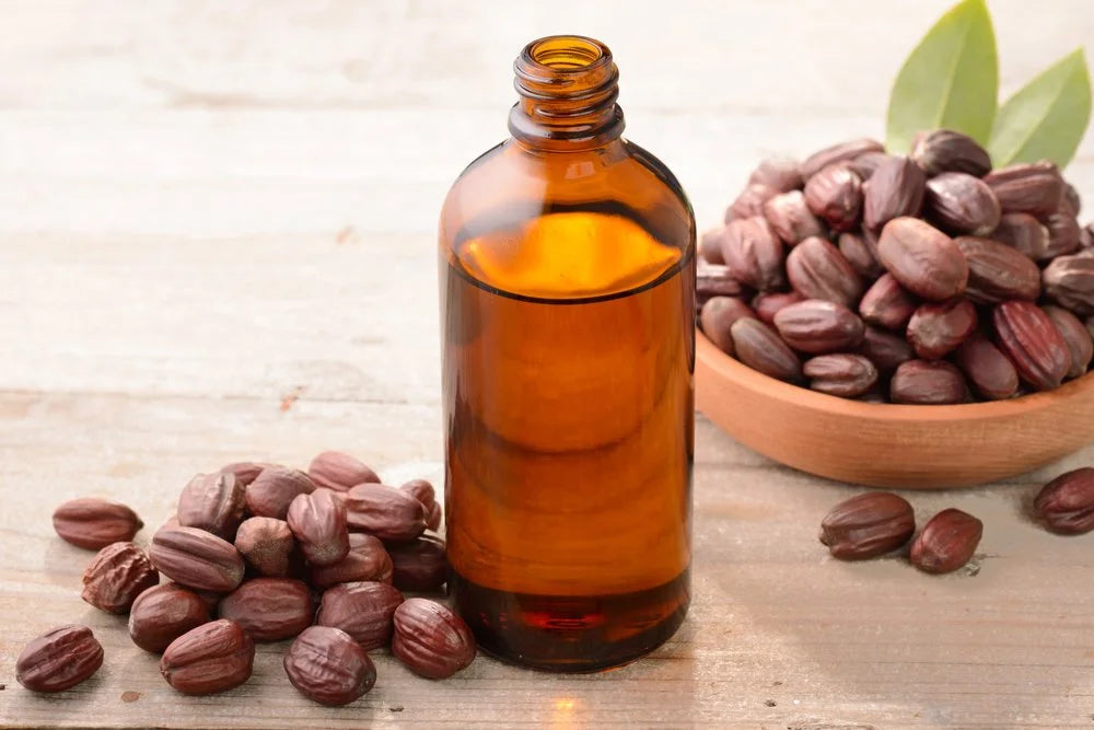 « L’or du désert » : 15 super choses à savoir sur l’huile de jojoba !
